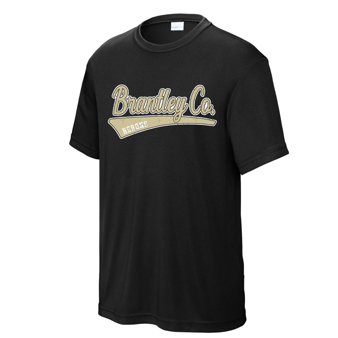 Brantley Swoosh Drifit