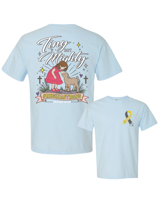 Regina Rios Fundraiser- Chambray